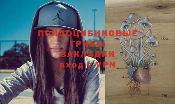 ECSTASY Алексин