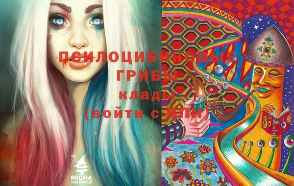 круглые Алексеевка